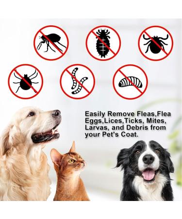 Eupsiiu 6-Piece Tick Removal Set for Dogs Cats & Horses | Gentle Tick Remover Tweezers & Pliers | Effective Tick Remedies in Blue & Green - Buy Online on GoSupps.com