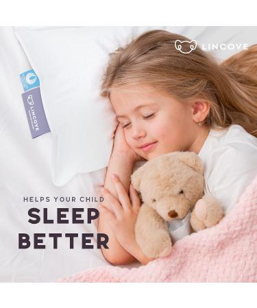 Lincove Canadian Down Toddler Pillow - 800 Fill Power - 100% Cotton Shell - 400 Thread Count - 13x18 - Perfect for Kids Travel, Nap Time, Toddler Cot, Crib, Bed - Buy Online on GoSupps.com