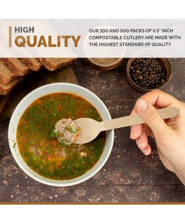 Compostable Birch wood cutlery 500 pack of Biodegradable Disposable wooden Spoons- 100% Home Compostable Forks Spoons and Knives made from Eco friendly Birchwood - Biodegradable party supplies - Buy Online on GoSupps.com