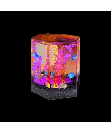 1 Gallon Hexagon Tetra Bubbling LED Aquarium Kit with Color-Changing Light Disc - Buy Online on GoSupps.com