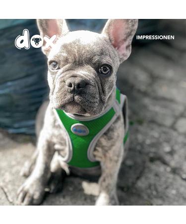 Ddoxx Reflecting Airmesh Step-in Dog Harness - Adjustable Small Size (Green) for All Breeds - Neck 20-28 cm Breast 32-44 cm - Buy Online on GoSupps.com