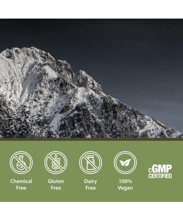 Shilajit Herbal Supplements Shilajit for Men Shilajit for Women Himalayan Shilajit Capsules Natural Shilajit 2 Pack 240 Count 25 Years of Premium Service - Buy Online on GoSupps.com