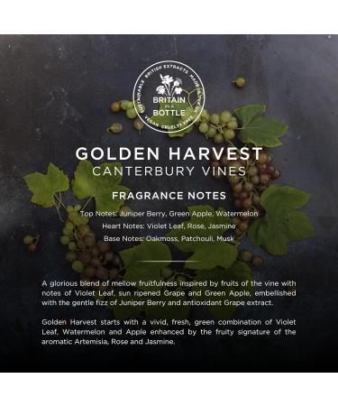 Golden Harvest Bubble Bath & Shower Gel 250ml - Luxurious Foaming Cleanser for a Relaxing Bath Experience - Shop Internationally - Buy Online on GoSupps.com