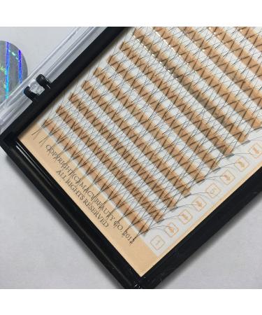 P-Beauty Cosmetic Accessories | Macy Y-Lashes 2D Volume Eyelashes for Professional Extensions | Curl C 0.10mm Strength Mixed Lengths 10-14mm - Buy Online on GoSupps.com