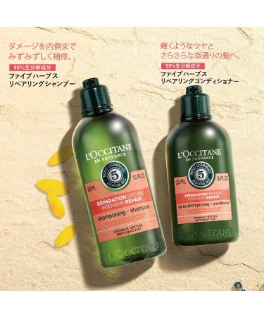 Shop L'Occitane Essential Oils Intensive Repair Conditioner 500ml for Women - Best International Shipping - Buy Online on GoSupps.com