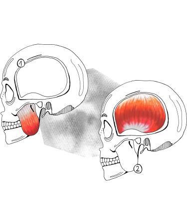 JawLax Heat Band for Jaw Relaxation - Alleviate Teeth Grinding Tinnitus Jaw Cracking Headaches & Dizziness | International Shipping Available - Buy Online on GoSupps.com