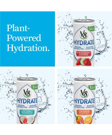 V8 +Hydrate Strawberry Cucumber Plant-Based Hydrating Beverage 8 oz. Can - 6 Pack x 4 - Buy Online on GoSupps.com