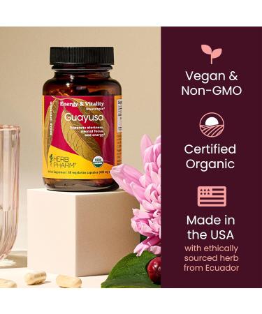 Herb Pharm Guayusa Capsules: USDA Organic Nootropic Brain Supplements for Focus Herbal Nootropic & Energy Support| 60 Vegan Capsules 30 Day Supply* - Buy Online on GoSupps.com