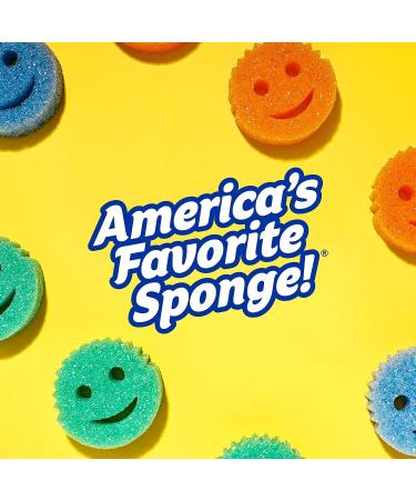 Scrub Daddy Scour Pads - Scour Daddy - Multi-Surface Scouring Pad  Absorbent  Durable  FlexTexture Sponge  Soft in Warm Water  Firm in Cold  Scratch Free  Odor Resistant  Easy to Clean  3ct - Buy Online on GoSupps.com