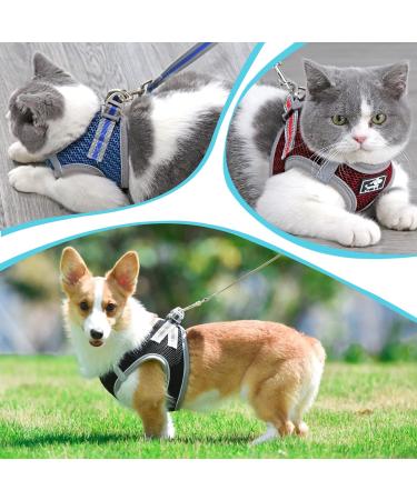 Adjustable Cat Dishes with Leash - Breakout-Proof Reflective Tableware for Cats & Small Dogs (Black Medium) - Buy Online on GoSupps.com
