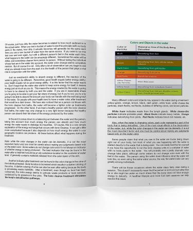 Ionic Cleanse Detox Foot Spa: Regain Health & Vitality | Increase Sales & Sessions! - 1 Pack - Buy Online on GoSupps.com