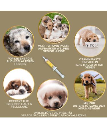 Vitamins for Dogs 1 ml + Paste 15 ml Vitamin B Complex for Dogs Vitamins B + Vitamin ACD Calcium Strengthens Vitality Multivitamins & Minerals Supports the Immune System Skin Coat - Buy Online on GoSupps.com