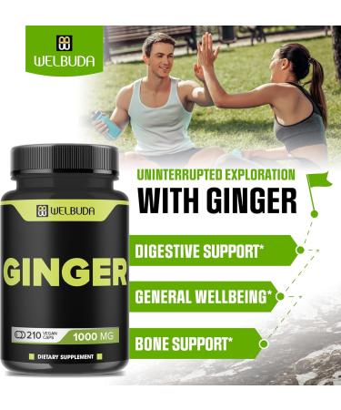 WELBUDA 1000mg Ginger Supplements Capsules with Berberine HCl Elderberry Echinacea & More - 11in1 Support Digestion Joint Health Immune System and Heart Health - 210 Ginger Pills - Buy Online on GoSupps.com