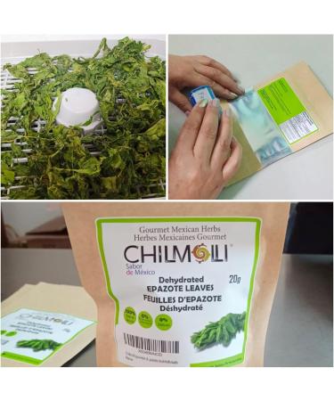 Chilmolli Epazote leaves dehydrated gourmet 20g/ Feuilles D Epazote d shydrat /Hojas de Epazote deshidratado. New - Buy Online on GoSupps.com