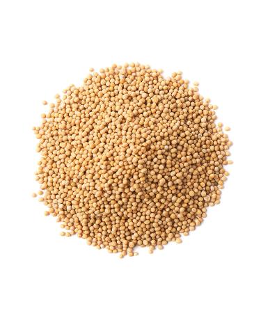 Organic Yellow Mustard Seeds 1lb - Non-GMO, Whole Dried Spice for Pickling, Dips, and Marinades - High in Selenium & Fiber - Vegan & Kosher - Spicy Pungent Flavor - Buy Online on GoSupps.com
