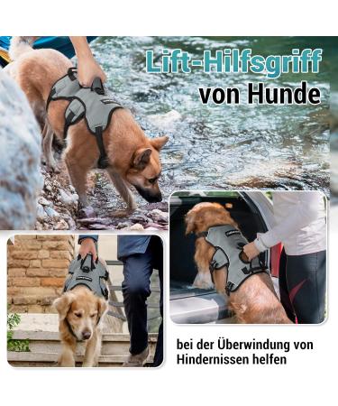 Rabbitgoo Break-Proof Dog Harness for Medium Dogs - Adjustable Breathable Padded Vest with Handle & Panic Lock - Gray (1 Pack) - Buy Online on GoSupps.com