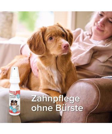 Beaphar Dental Care Atomizer for Dogs & Cats - Fresh Breath & Liver Taste Fluoride-Free No Toothbrush Needed - 150ml - Buy Online on GoSupps.com
