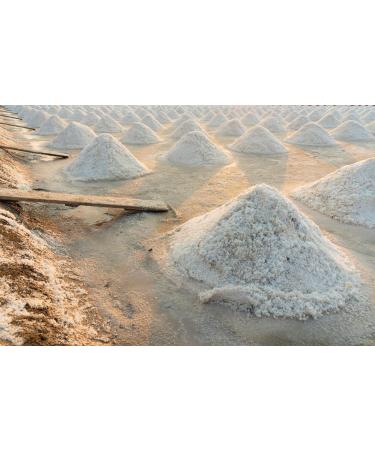 Pure Flourish Celtic Salt - 300g | 100% Organic Unrefined Grey Salt from France - Buy Online on GoSupps.com