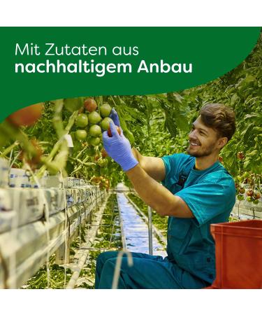 Buy Knorr Pasta Snack Pot Bolognese - Delicious Instant Noodles Ready in 5 Minutes - 8x68g | Fast International Shipping - Buy Online on GoSupps.com