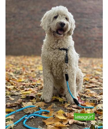 Leite Green Adjustable Dog Leash 3m - Durable Nylon for Medium to Large Dogs - 200kg Strength 2 Carabiners - Light Blue Sky Blue - Buy Online on GoSupps.com