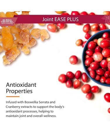 Buried Treasure Joint Ease Plus - 16 fl oz, Glucosamine Chondroitin with MSM and Turmeric, Joint Support Supplement - Buy Online on GoSupps.com