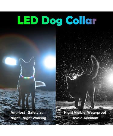 Buy Auauy LED Light Neck Band for Dogs & Cats - USB Rechargeable Adjustable Waterproof 4 Modes (Red) | Safe Silicone Collar for Pet Safety - Buy Online on GoSupps.com