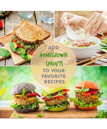 Certified Organic Alfalfa Sprouting Seeds - 8 oz Pouch - Handy Pantry Brand - High Germination Rate for Sprouts, Gardening, Hydroponics, and Food Storage - Buy Online on GoSupps.com