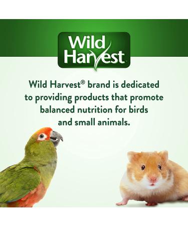 Wild Harvest Daily Blend Nutrition Diet 5 lb for Parakeets, Canaries, and Finches - Buy Online on GoSupps.com
