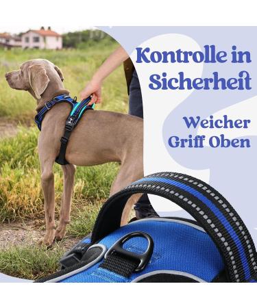 Buy Rabbitgoo Adjustable Dog Harness for Large Dogs - No-Choke Design Soft Padded Reflective Anti-Training with Handle - Blue Large (1 Pack) - Buy Online on GoSupps.com