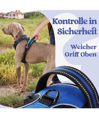Rabbitgoo Dog Harness for Small Dogs - Adjustable Anti-Pull No Choke Soft Padded Reflective Chest Harness - Blue (1 Pack) - Buy Online on GoSupps.com