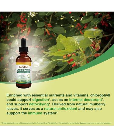 LOVITA Chlorophyll Liquid Drops High Potency 120 mg/mL 7 200 mg per Bottle Natural Energy Booster & Immune Support Internal Deodorant Skin Health Vegan & Non-GMO Mint Flavor 60 Servings 2 Oz New Package 2 Fl Oz (Pac  - Buy Online on GoSupps.com