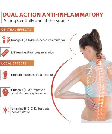 Pain Punch - 4 Pack Natural Health Product for Health & Wellness Pain Relief Supports Cognitive Health w/Turmeric Vegan Omega-3 & L-Theanine to Provide Relaxation and Focus | 4 x 236ml - Buy Online on GoSupps.com