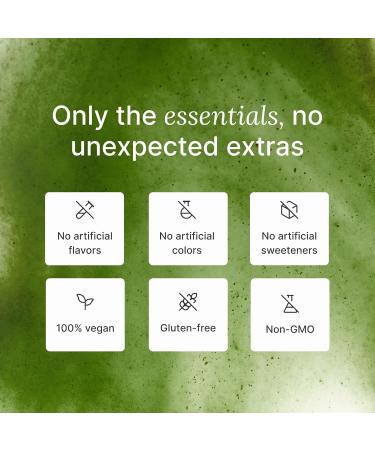 Huel Daily Greens Bundle | Single Serve Watermelon + Bottle | Superfood Greens Powder | 91 Vitamins Minerals and Wholefood-Sourced Ingredients | 12 Servings | Lockable Lid to Avoid Spills | BPA Free - Buy Online on GoSupps.com