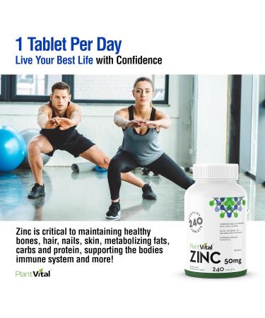 PlantVital Zinc Supplements 50mg (240 Count) - Immune Support Healthy Bones Hair Nail and Skin with Zinc Gluconate 50mg - Made in Canada - Additive-Free - 480 Zinc Tablets 240 count (Pack of 2) - Buy Online on GoSupps.com
