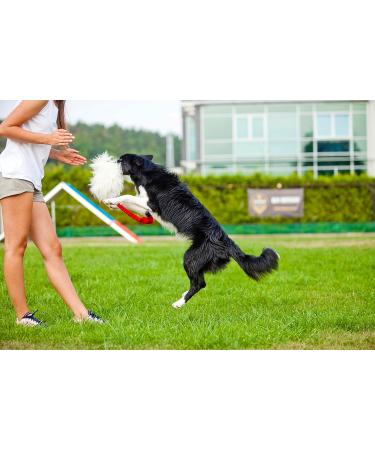 Dingo Dog Toy - Natural Fur Bungee Handle for Agility & Training | Motivational Apport Game - Pink Grip 15580 - Buy Online on GoSupps.com