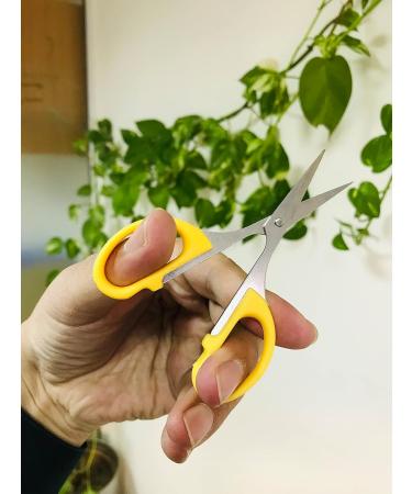 KhanMart Eyebrow Grooming Set - 12 Stainless Steel Scissors for Perfect Nails Eyebrows & Cuticle Care - International Shipping Available - Buy Online on GoSupps.com