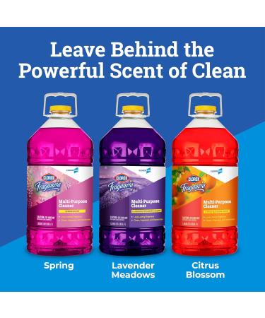 CloroxPro Fraganzia Multi-Purpose Cleaner - Spring Scent 175 oz | International Shipping Available - Buy Online on GoSupps.com