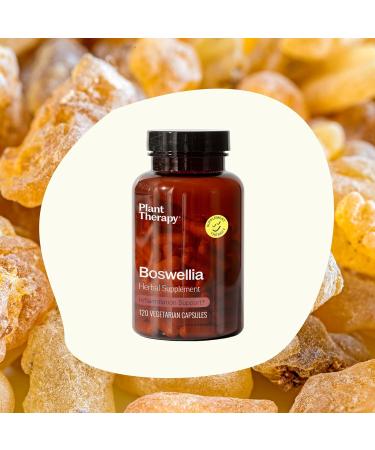 Plant Therapy Boswellia Extract Capsules Manufactured in USA 4 Month Supply Supports Joint Flexibility Comfort Soothes Discomfort and Healthy Skin Supplements for Women & Men 120 Vegetarian Capsules - Buy Online on GoSupps.com