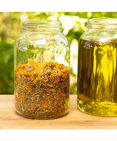 Natural Lip Balm Perioral Dermatitis Treatment Calendula Healing Lip Balm with Immune Supportive Basil & Rosemary Essential Oil Organic Coconut Oil 2 Pak Ora's Amazing Herbal Basil Rosemary - Buy Online on GoSupps.com