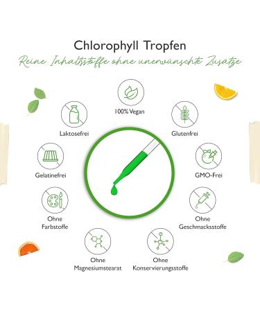 Premium Chlorophyll Drops 50 ml - Alfalfa Extract Vegan 300 mg Daily Dose Laboratory Tested Liquid Chlorophyll for Enhanced Wellness - Shop Now! - Buy Online on GoSupps.com