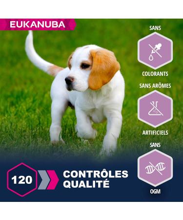 Eukanuba Puppy & Junior Adult Dry Food For Small and Medium Breed Lamb&Rice 2.5kg - Buy Online on GoSupps.com