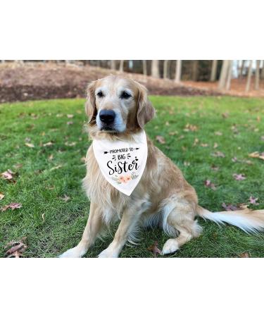 MaySunset Promoted to Big Sister White Flower Pattern Pet Dog Triangle Scarf Bandanas Bibs Gender Revealing Photo Props Accessories Pet Dog Lovers Gifts - Buy Online on GoSupps.com