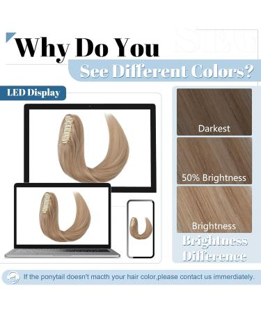 SEGO 100% Remy Hair Ponytail Extension - Honeyblond Braid Clip-In 40cm - Beauty & Style for All Hair Types - Buy Online on GoSupps.com