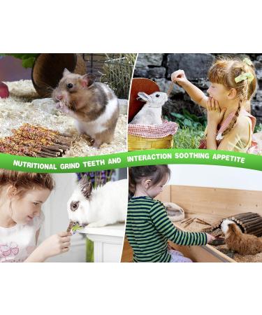 ABIZOO 18-Piece Rabbit Chew Toy Set | Natural Apple Sticks & Dental Care for Rabbits Hamsters & Guinea Pigs - Buy Online on GoSupps.com