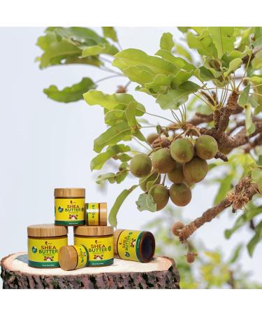 Organic Virgin Shea Butter with Tea Tree Essential Oil 250g for Body Hair Face Skin Firming Anti-Acne Dry Skin - Buy Online on GoSupps.com