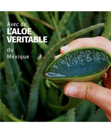 Herbal Essences Soothing Aloe Vera Moisturizing Shampoo 2x250ml Hydrates Cleanses and Nourishes Very Dry Hair Jasmine Scent Silicone and Sulfate Free Vegan (No Sulfated Surfactants) - Buy Online on GoSupps.com