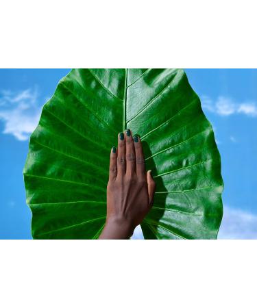 OPI Nature Strong Nail Polish Quick Dry Vegan Nail Varnish with Long-Lasting Results Made with Natural Ingredients Leaf by Example 15ml - Buy Online on GoSupps.com