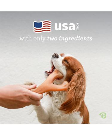 Benebone Wishbone Real Peanuts Medium Durable Dog Chew Toy for Aggressive Chewers | International Shipping Available - Buy Online on GoSupps.com