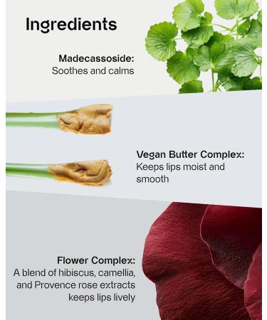 Sensual Vegan Lipstick Blur (08 Sensitive) | Long-Lasting Matte Formula | Lightweight Korean Makeup with Shea Cocoa Butter | 0.12oz - Buy Online on GoSupps.com