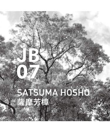 Buy Satsuma Hosho Japanese Botanical Air Essential Oil - 10ml | Premium Aromatherapy for Home & Wellness - Buy Online on GoSupps.com